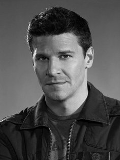 David Boreanaz