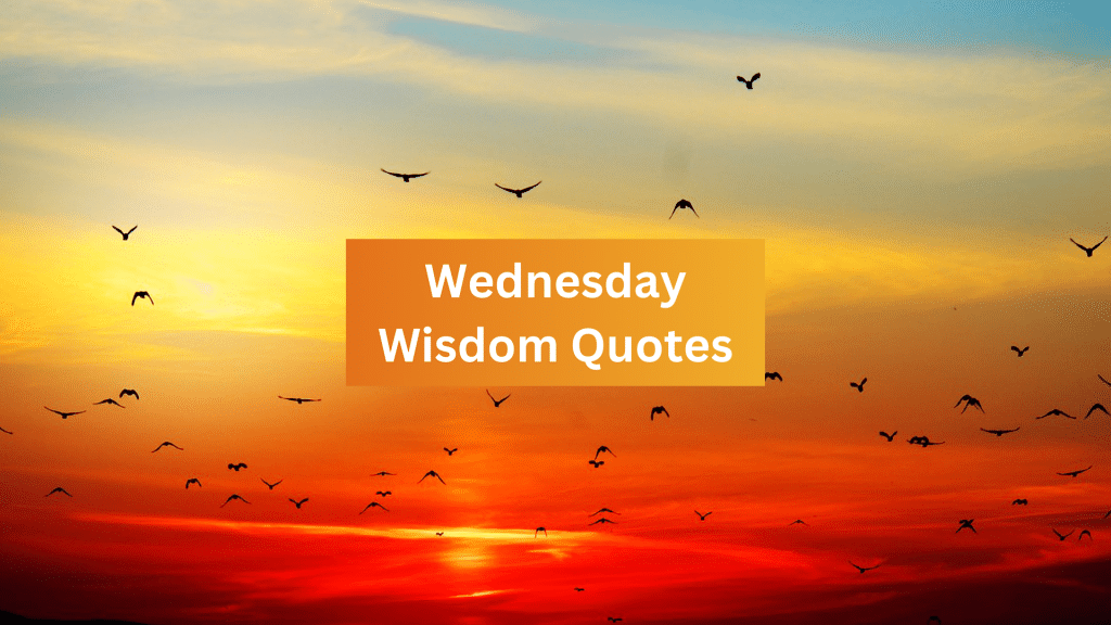 Wednesday Wisdom Quotes: Midweek Inspiration