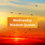 Wednesday Wisdom Quotes: Midweek Inspiration